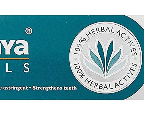 Himalaya Herbals Dental Cream, 100g-0