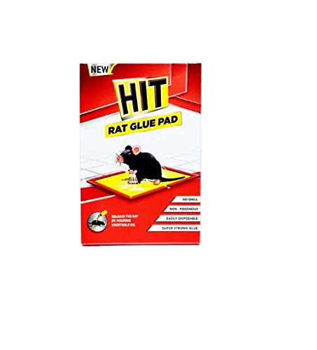 Hit Rat Glue pad 25g
